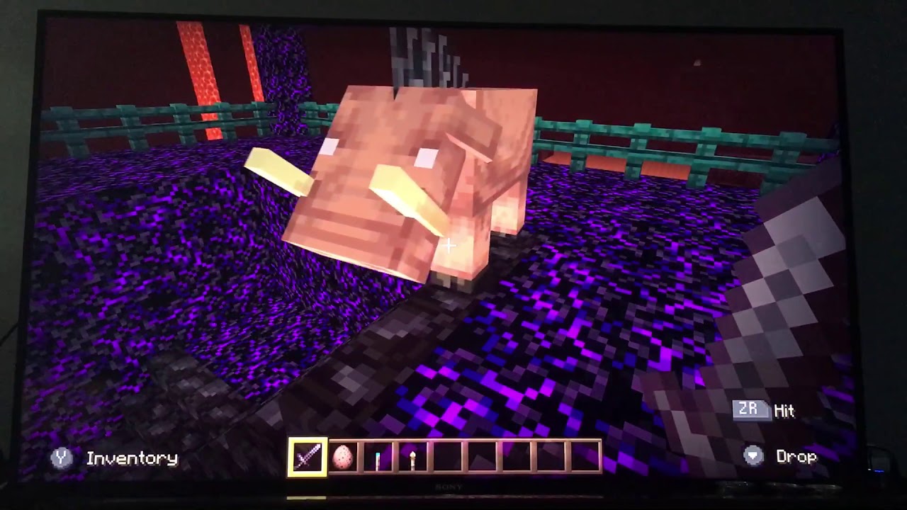 Minecraft Nether update on Nintendo Switch - YouTube