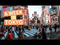 Tokyo City: THE BEST OF JAPAN