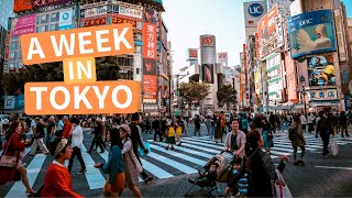 Tokyo City: THE BEST OF JAPAN