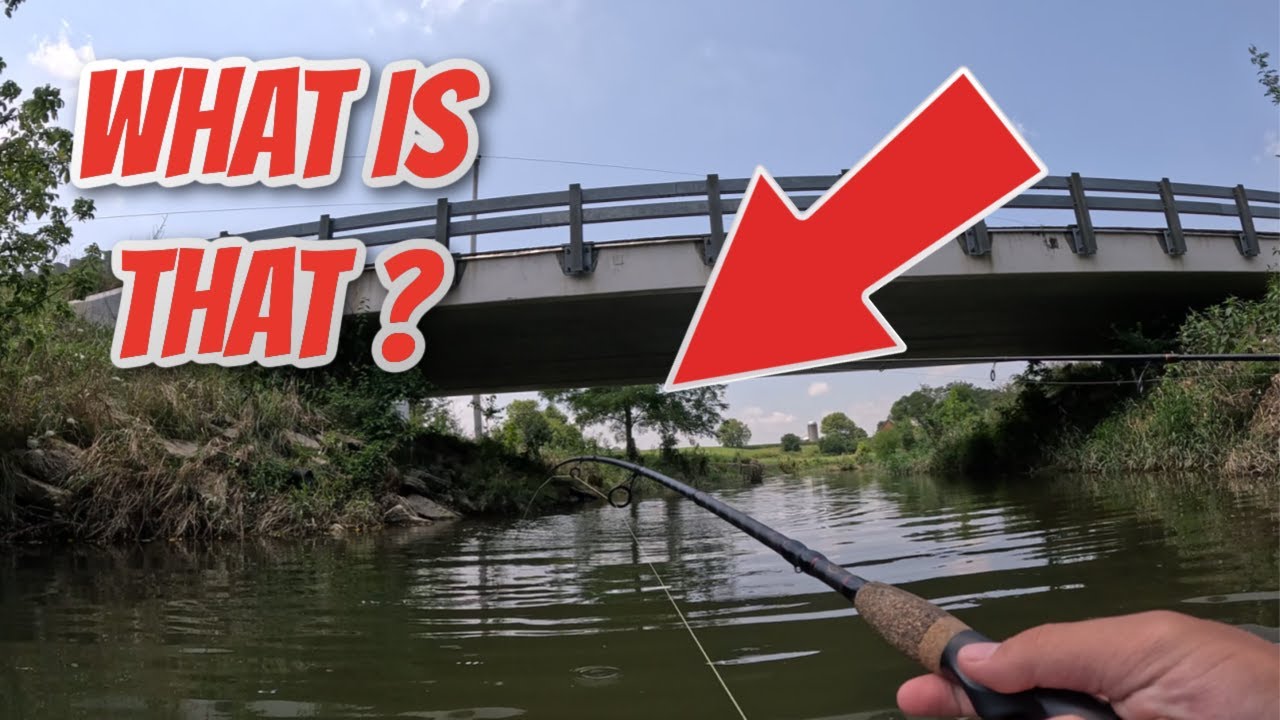 Fishing Tiny Creek for HUGE BASS (You Won't believe what we caught!!)