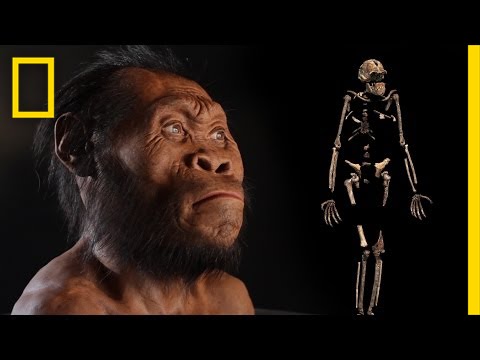 Oldest Homo sapiens fossils discovered