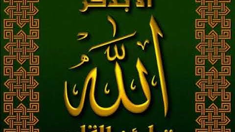 سوره ..التكاثر..الشيخ محمد حسين عامر