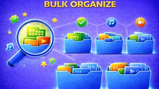 Famous Bulk File Organizer for PC Net Worth