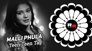 Malli Phula Teen Teen Ta (Devil Bass Mix) DJ Liku X DJ Nigam || Romeo Remix Talcher