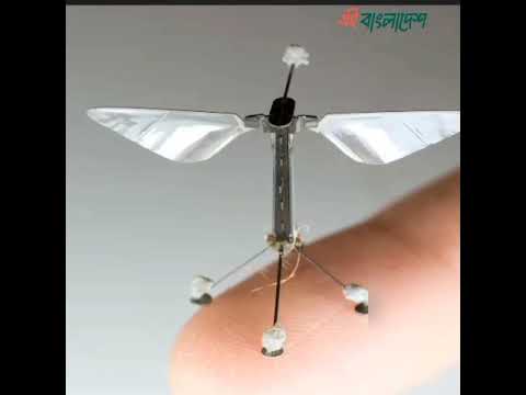 China S Small Drone A New Chapter In Enemy Surveillance 