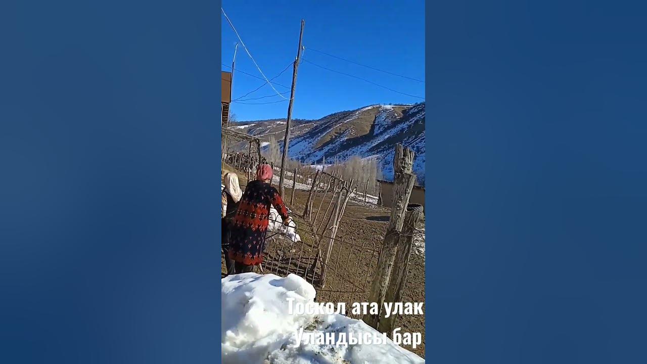 улак . - YouTube