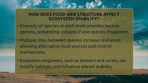 How Does Food Web Structure Affect Ecosystem Stability? - Ecosystem Essentials