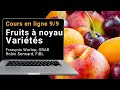 Cours en ligne 99 biofruitnet  fruits  noyau varits