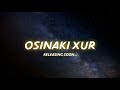 Osinaki xur official teaser  nila pratim  pangkaj dihingia