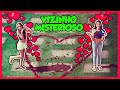 O VIZINHO MISTERIOSO FEZ UMA DECLARAÇÃO DE AMOR - MILLENA E MANU MAIA