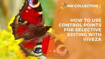 How To Use Control Points For Selective Editing with Viveza / Nik Collection 3