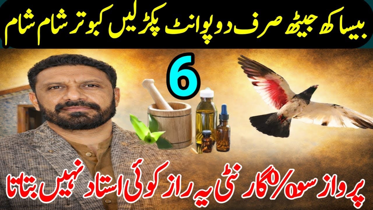 BESAKH JAITH SIRF DO POINT PAKAR LEN KABOOTAR SHAM SHAM BETHIN GY 