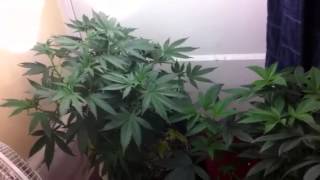 Part 2 of update 3