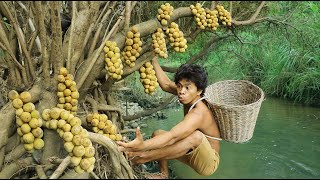 Download Lagu survival in the rainforest - crab Catching in River -longkong fruits grow in the forest MP3 Download Lagu survival in the rainforest - crab Catching in River -longkong fruits grow in the forest MP3