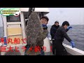 和丸船にて巨大ヒラメ釣り‼️