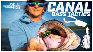 Bass Fishing Florida Canals | ChatterBait and Frog Tactics