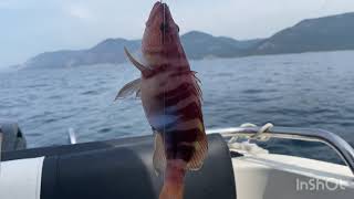 видео: Большой Утриш. Малый Утриш. Рыбалка в море. Причал на Змеинке. Мангал на лодку😀 картинка: Большой Утриш. Малый Утриш. Рыбалка в море. Причал на Змеинке. Мангал на лодку😀