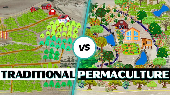 Traditional Farm Design vs. Permaculture Design: What's the Difference? - DayDayNews