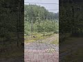 rain sound #rain #rainsounds #rainoundforsleep