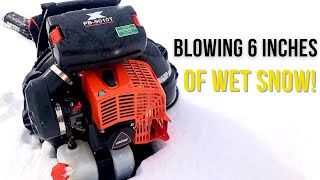 Blowing Snow With Leaf Blower: Echo 9010 Backpack Blower