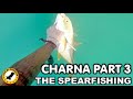 Charna Island - Part 3/4 - The Spearfishing
