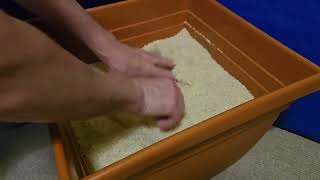 Hand strengthening with a bucket of rice.