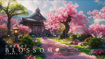 Beautiful Cherry Blossom Music - Relaxing Japanese Zen Music for Stress Relief