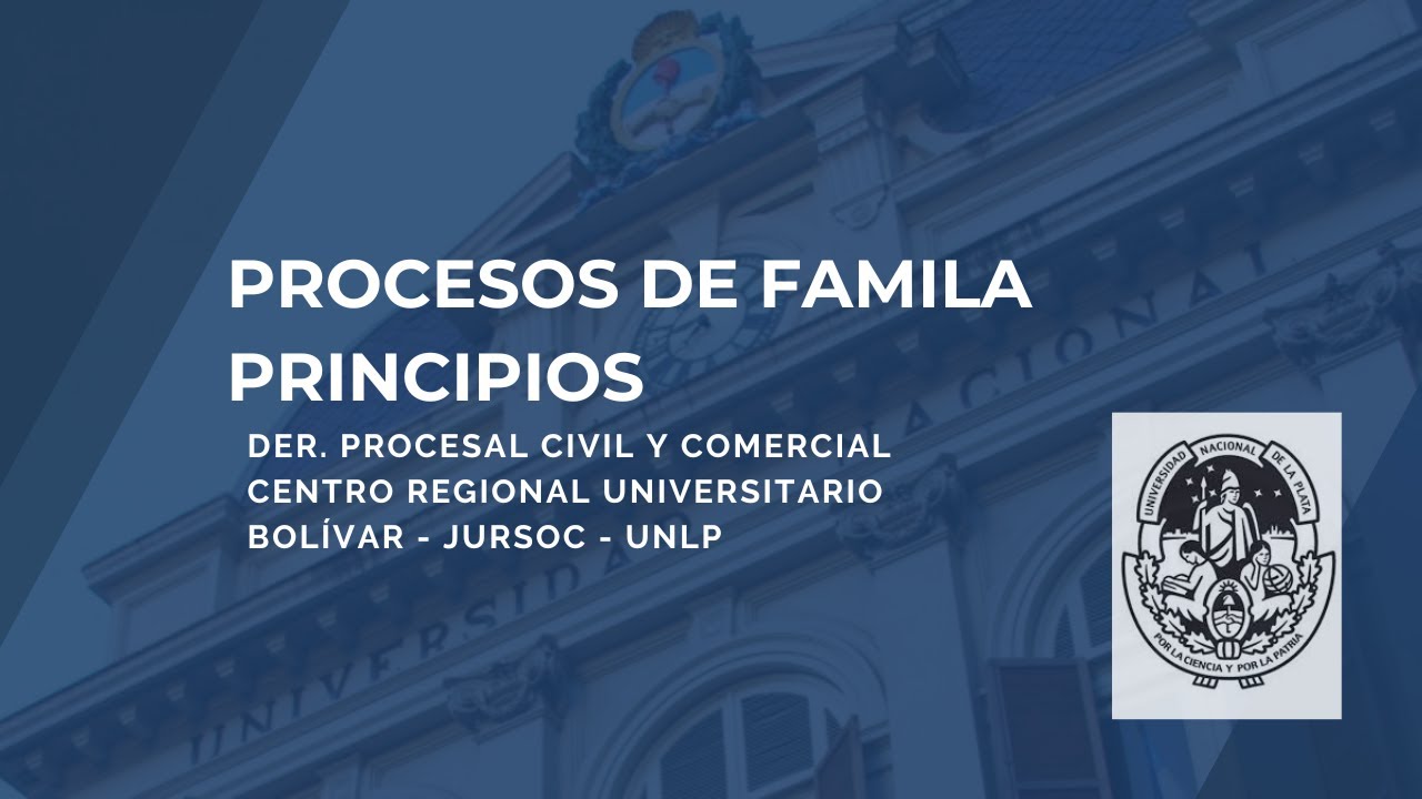 Procesos de familia. Principios