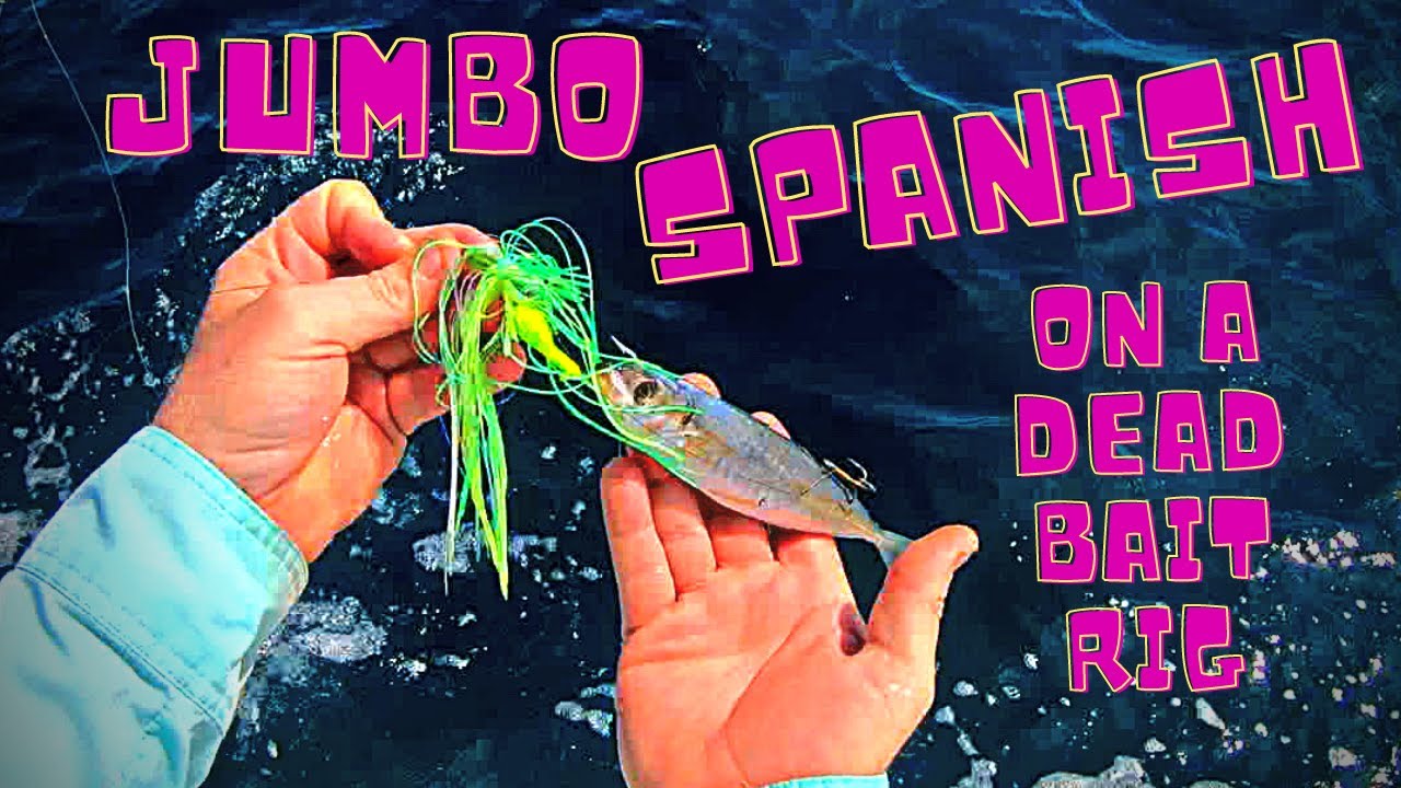 Oak Island Jumbo Spanish Mackerel on a Dead Bait Rig YouTube