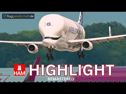 Spezielle Beluga XL5 Landung in Hamburg-Finkenwerder XFW