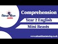Year 2 English Comprehension - Mini Beasts