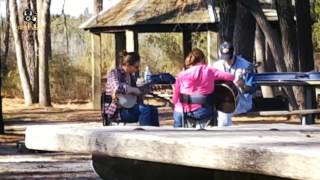 HOW MANY STRINGS DOES A BANJO HAVE?