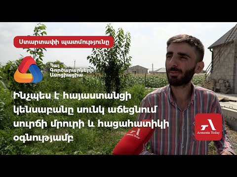 «Կախասնկերի արքան»․ Ինչպես է Դավիթ Սխտորյանը սունկ աճեցնում սուրճի մրուրի և հացահատիկի օգնությամբ