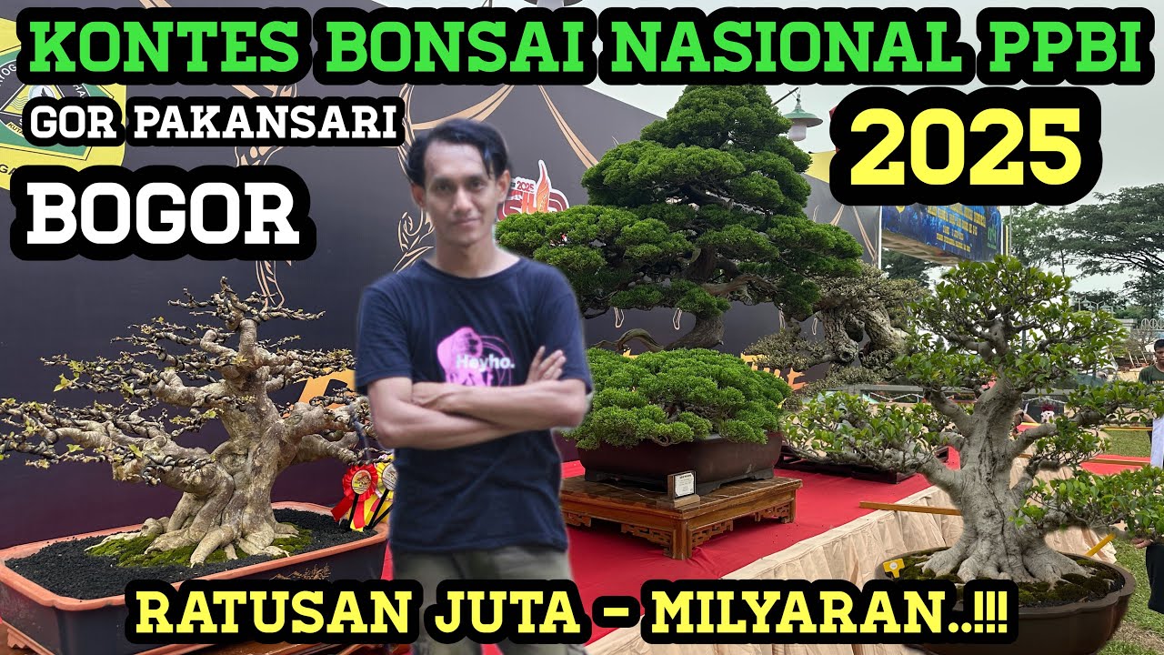 KONTES BONSAI NASIONAL 2025 PPBI GOR PAKANSARI BOGOR, MILYARAN...!!!