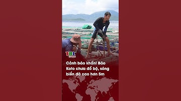 CẢNH BÁO KHẨN! Bão Koto chưa đổ bộ, sóng biển đã cao hơn 5 mét| TBL