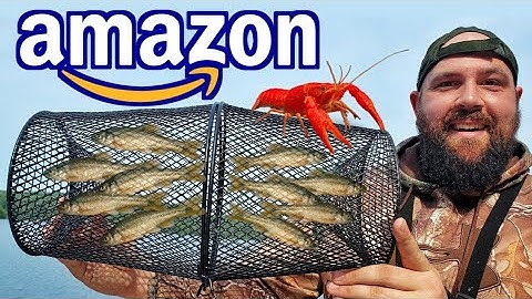 Testing AMAZON Minnow & Crawfish TRAPS!