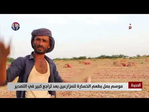 الحديدة | موسم بصل بطعم الخسارة للمزارعين بعد تراجع كبير في التصدير - تقرير: أكرم سران