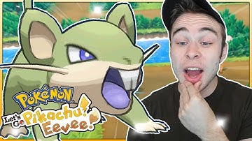 SHINY RATTATA 2 MINUTES INTO THE STREAM?! Pokemon Let