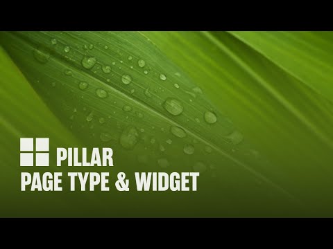 Atlas Pillars Page Type & Widget