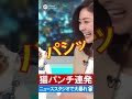 放送事故！ゲスト猫の猫パンチが…