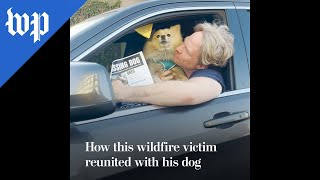 How this wildfire victim reunited with his dog