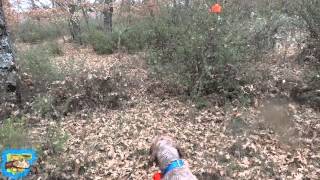 CAZANDO BECADAS POR ESPAÑA(LA PELICULA) CHASSE A LA BECASSE POUR ESPAGNE.