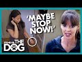 Owner Insists On Hand-Feeding Her Dog | It's Me or The Dog