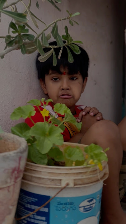 Don’t Miss End🤣 Happy Diwali🤩💐 #sreetan #trending #comedy #funny #shorts #youtubeshorts