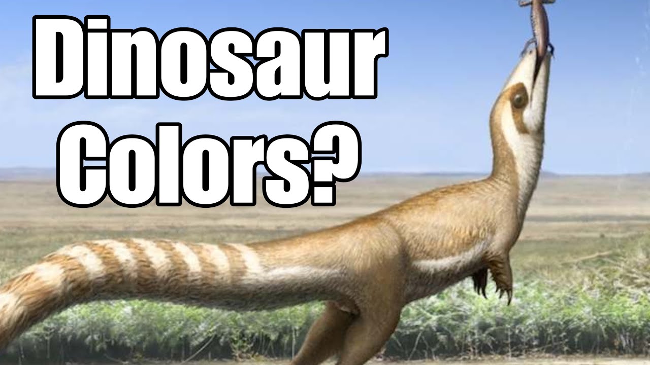 Do We Know What Color Dinosaurs Were?