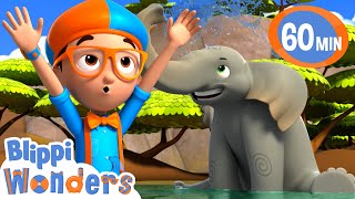 What Do Elephants Use Their Trunks For?  | Blippi Wonders | Educational Cartoons for Kids