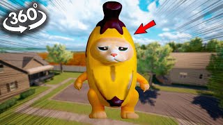 VR 360° GIGAGNT Banana Cat Finding in Real Life!