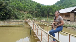 How to make a bamboo railing on the way to the hut, building huts - Building Farm, Green Forest Life