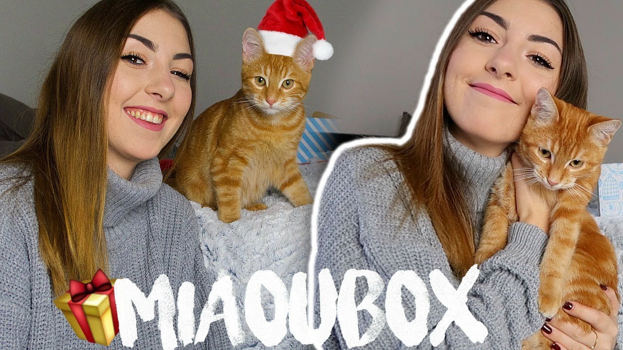 Miaoubox Avis Retour Sur La Meilleure Box Pour Chat Code Promo Offert