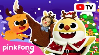 The Red Nosed Baby Shark | 🎄 Christmas Dance Along with Lyrics [4K] | Pinkfong Baby Shark